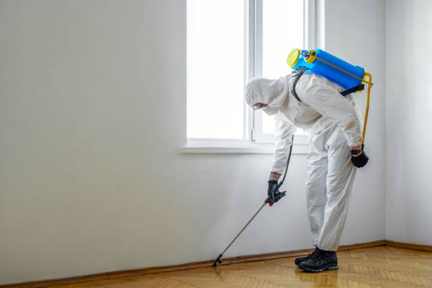 Best Indoor Pest Control  in Garwood, NJ